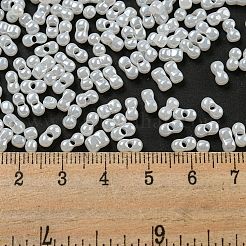 Glass Seed Beads&nbsp;SEED-K009-02B-24