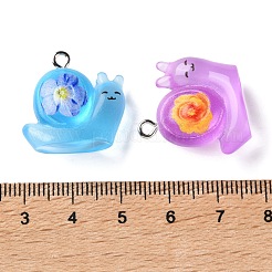 Transparent Resin Pendants&nbsp;RESI-F077-04P