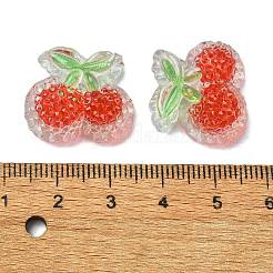Fruit Transparent Epoxy Resin Decoden Cabochons&nbsp;CRES-I030-24A