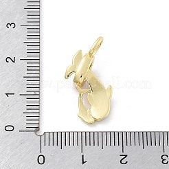 真鍮製マイクロパヴェキュービックジルコニアペンダント  イルカ  エナメル  18KGP本金メッキ  カドミウムフリー＆鉛フリー  ラックめっき  長持ちメッキ  ホワイト  20x19.5x5.5mm  穴：4.5x2.5mm&nbsp;KK-Z098-07G-01