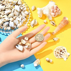 218PCSアクリルビーズ  天然石風  イモガイ  貝殻色  10.5~30x9.5~21.5x5.5~14mm  穴：1.6~1.8mm&nbsp;OACR-YW0002-17