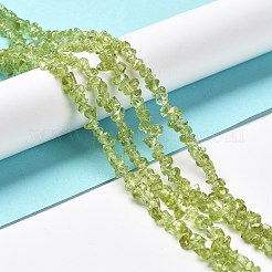 天然石ペリドットビーズ連売り  グレードA  チップ  1~5x3~16x3~5mm  穴：0.8~0.9mm  29.92~32.68''（76~83センチメートル）&nbsp;X-G-E607-A06
