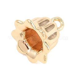 Brass Pendants&nbsp;KK-B181-01D-G