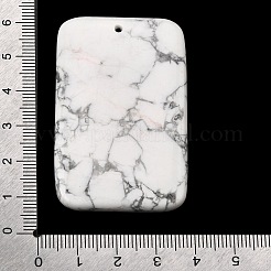 Natural Howlite Big Pendants&nbsp;G-F820-06A-01