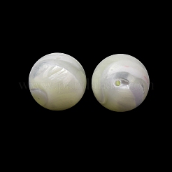 Natural Trochid Shell/Trochus Shell Beads&nbsp;SH-CBA2978-22