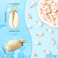 60Pcs Natural Cowrie Shell Dyed Pendants&nbsp;FIND-SC0020-75