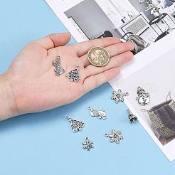 Tibetan Style Alloy Pendants&nbsp;TIBEP-MSMC013-M