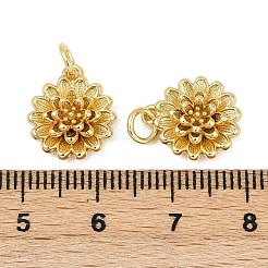 Brass Charms&nbsp;KK-S527-12G