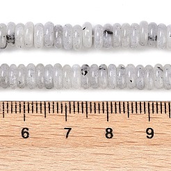 Natural Labradorite Beads Strands&nbsp;G-Q159-B10-01