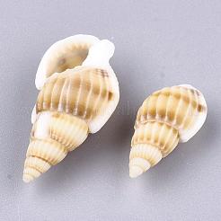 天然スパイラルシェルビーズ  穴がない  ペルー  10~20x5~10x5~10mm  約1700個/500g&nbsp;SSHEL-R036-15