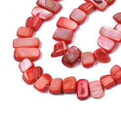 Natural Trochid Shell/Trochus Shell Beads Strands&nbsp;SHEL-S258-082-B06