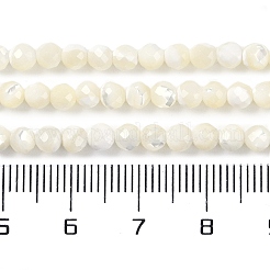 天然石シェルビーズ連売り  多面カット  ラウンド  3.8~4.5mm  穴：0.8mm  約94個/連  15.87''（40.3センチメートル）&nbsp;SSHEL-E571-38B-4mm