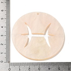 Acrylic Pendants&nbsp;LS-SACR-S680-06C