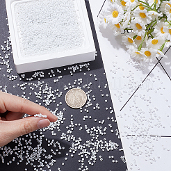 100G Glass Seed Beads&nbsp;SEED-SP0001-14A-01