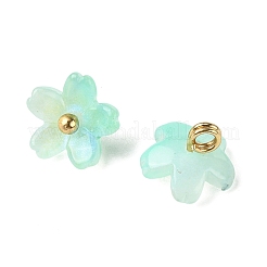Alloy Acrylic Pendants&nbsp;TACR-P016-01G-14