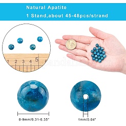 Natural Apatite Beads Strands&nbsp;G-AR0001-80