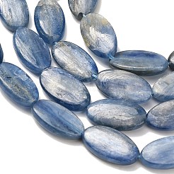 Natural Kyanite Beads Strands&nbsp;G-H335-D01-8x15mm