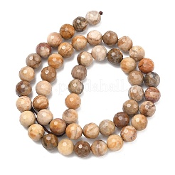 Natural Petrified Wood Beads Strands&nbsp;G-L642-F09-8mm