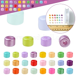 DIY Column Baking Paint Glass Seed Beads Bracelets Making Kits&nbsp;SEED-FS0001-39