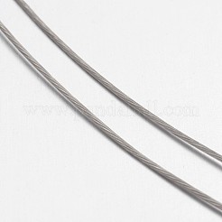 タイガーテールワイヤー  ナイロン被覆ステンレス鋼  オリジナルカラーワイヤー  生  25ゲージ（0.45mm）  約164.04フィート（50m）/ロール&nbsp;L0.45mm01
