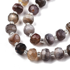 Natural Botswana Agate Beads Strands&nbsp;G-N327-08N