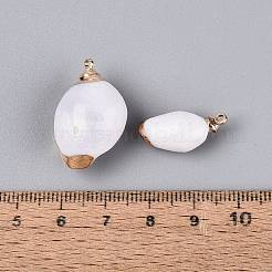 Electroplate Natural Sea Shell Pendants&nbsp;SSHEL-Q100-05KCG-01