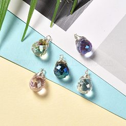 Transparent Glass Charms&nbsp;PALLOY-JF00853-02