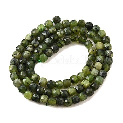 Natural Canadian Jade Beads Strands&nbsp;G-G259-C04-4x4mm