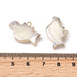 ナチュラルトロシシェル/トロカスシェルペンダント  真鍮の縁取りの鳥のチャーム  フローラルホワイト  ゴールドカラー  15x22x4mm  穴：1.8mm&nbsp;SHEL-B003-09G