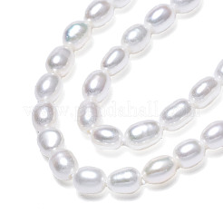 天然養殖淡水パールビーズ連売り  ライス  貝殻色  5~6x3.5~4mm  穴：0.7mm  約71~74個/連  14.72インチ〜15.04インチ（37.4~38.2cm）&nbsp;PEAR-N012-03G