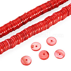 1 Strand Natural Freshwater Shell Beads Strands&nbsp;SHEL-TA0001-35C