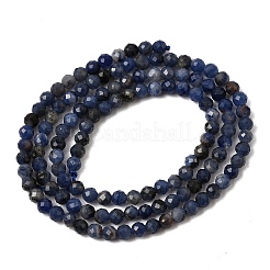Natural Sodalite Bead Strands&nbsp;G-P279-58-3mm-01
