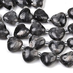 Natural Larvikite Beads Strands&nbsp;G-NH0069-A10