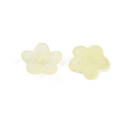 Transparent Acrylic Beads&nbsp;MACR-S373-118-D03