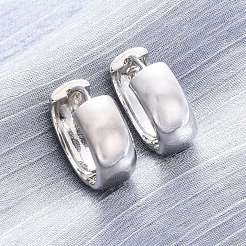 真鍮製フープピアス  ラックめっき  長持ちメッキ  鉛フリー＆カドミウムフリー  プラチナ  19x8mm&nbsp;EJEW-Q015-21A-P