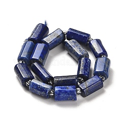 Natural Lapis Lazuli Beads Strands&nbsp;G-N327-06-13