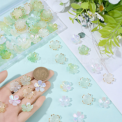 125 個 5 色のアクリルビーズキャップ  花  黄金の縁を持つ  ミックスカラー  17.5~19x18.5~19x5.5~6mm  穴：1.4~1.6mm  25個/カラー&nbsp;OACR-BM0001-10