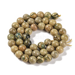 Natural Verdite Stone Beads Strands&nbsp;G-P530-B07-03