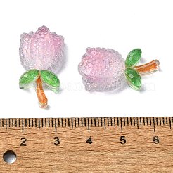 Transparent Epoxy Resin Decoden Cabochons&nbsp;CRES-I030-19B