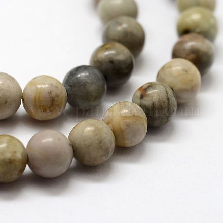 Natural Polychrome Jasper/Picasso Stone/Picasso Jasper Bead Strands&nbsp;G-G735-45-6mm-1