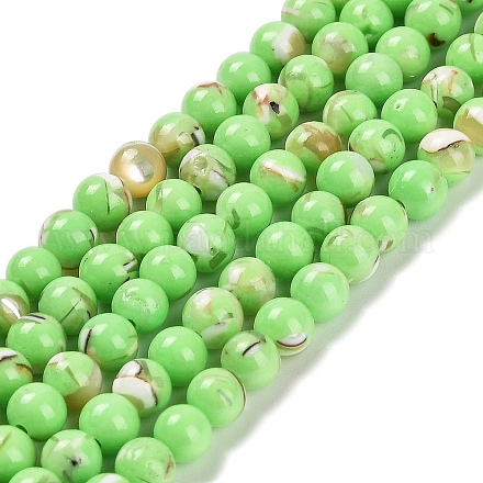 Assembled Synthetic Stone and Trochus Shell Beads Strands G-B128-08A-07-1