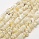 Natural Shell Beads Strands&nbsp;G-F328-45-1