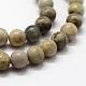 Natural Polychrome Jasper/Picasso Stone/Picasso Jasper Bead Strands&nbsp;G-G735-45-6mm-1