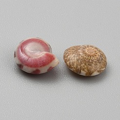 ミニ天然ミックスシェルビーズ  穴がない  ミックスカラー  5.5~10.5x5~11.5x2.5~4.5mm  約1500個/500g&nbsp;SHEL-WH0001-016