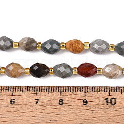 Natural Picture Jasper Beads Strands&nbsp;G-N342-53-8x6-09