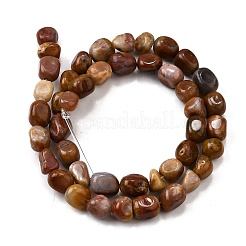 Natural Petrified Wood Beads Strands&nbsp;G-L621-C11-01