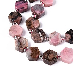 Natural Rhodonite Beads Strands&nbsp;G-P534-A16-02