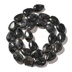 Natural Larvikite Beads Strands&nbsp;G-I377-A10