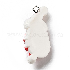 Opaque Resin Pendants&nbsp;LS-RESI-D055-119P