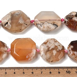 Natural Cherry Blossom Agate Beads Strands&nbsp;GG-CBAD7AB-04
